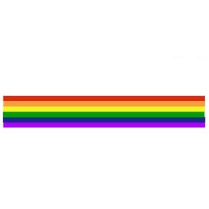LGBTQ+ In Ramaz and Its Policies
