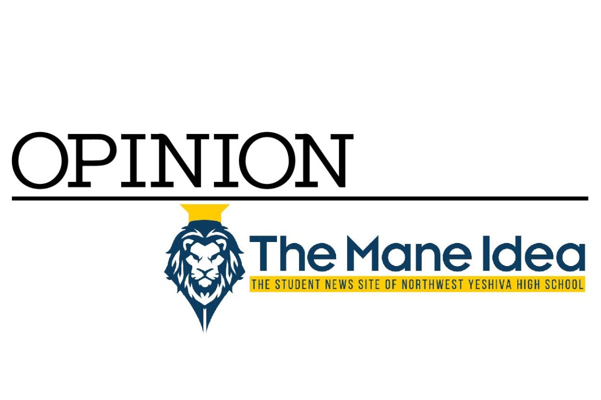 OPINION: School is for more than learning. NYHS needs school pride, too.